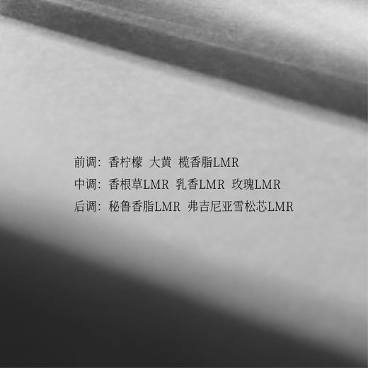 月光木 商品图2