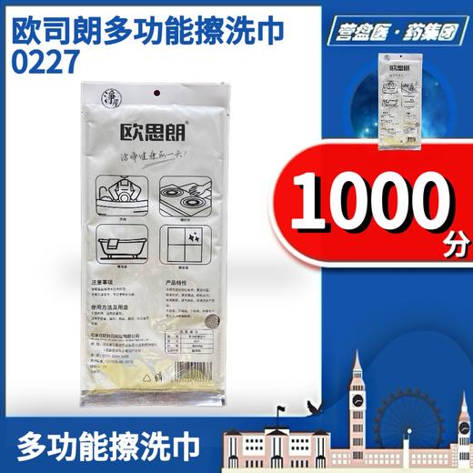 227678	欧司朗多功能擦洗巾 0227 商品图1