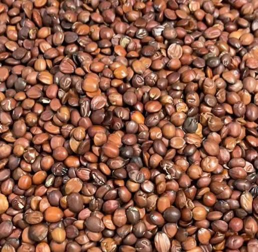 熟酸枣仁（0.5斤装） 商品图0