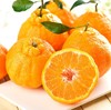 新鲜水果  四川丑橘 商品缩略图0