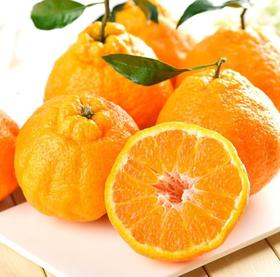 新鲜水果  四川丑橘