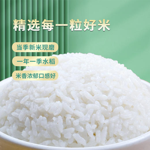 自营（菲爱比）-南稻府有机大米1kg 商品图1