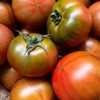 生态天津草莓西红柿 | 合作生产*Eco-tomato | Coproduction 商品缩略图0