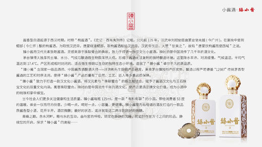 臻小酱 商品图4