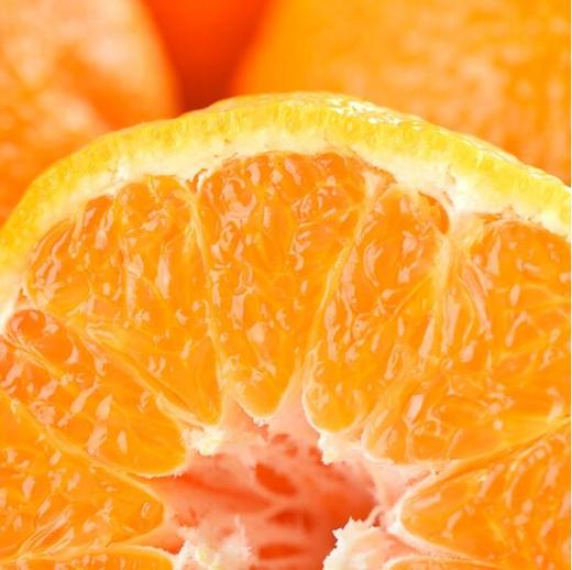 新鲜水果  四川丑橘 商品图4