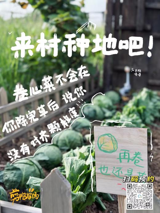 剪鸭农场（一年走读班&半年托管班） 商品图0