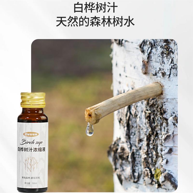 ileven白桦树汁浓缩液【树洞专属】