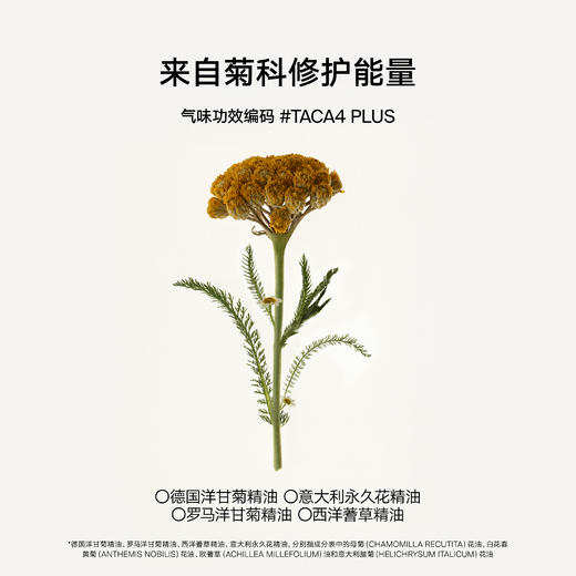DAISY SKY雏菊的天空丨翡冷翠菊科修护精华油季节限定版 商品图3