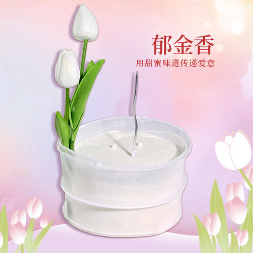 郁金香 商品图0