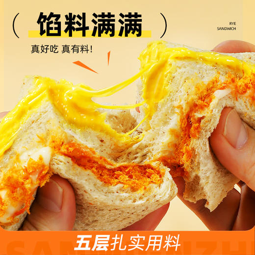 哥本上新❤️黑麦&全麦肉松三明治（不可用券） 商品图4