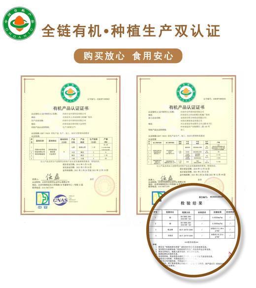 合作产品/有机冻干铁棍山药粉 商品图9