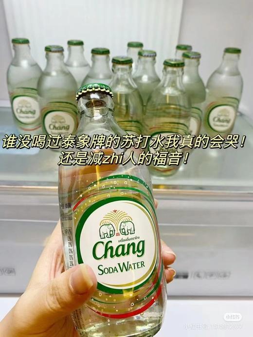 泰象牌气泡水3瓶 商品图2