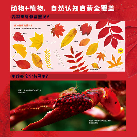 好好科学 好看好玩好吃好笑 商品图3