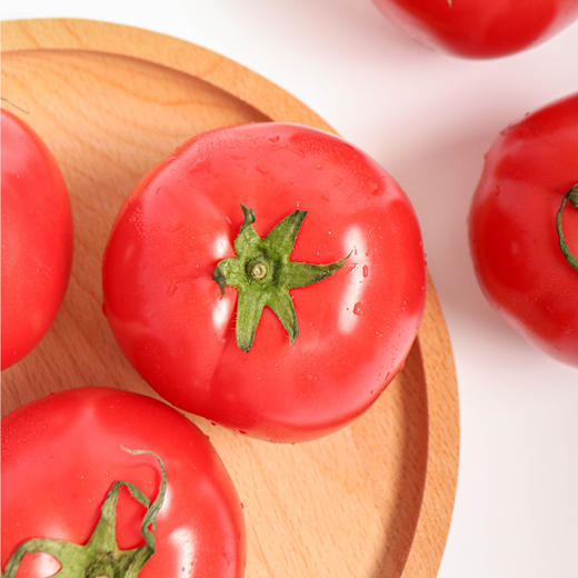 普罗旺斯番茄500g 商品图2
