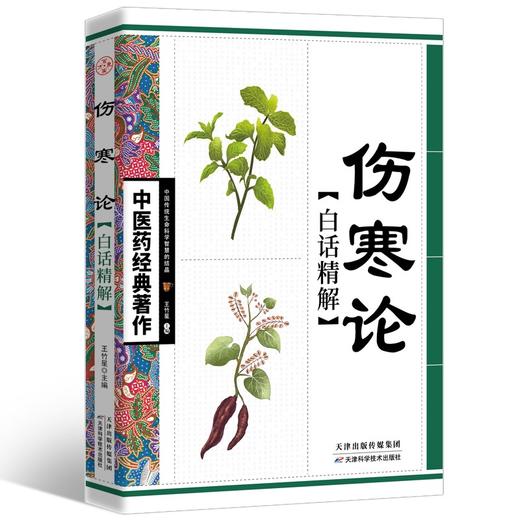 中医药经典著作一伤寒论·白话精解 自学入门基础理论中医学养生 商品图0