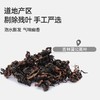 【谷记老谷头】蒲公英根+蒲公英叶 250g 泡水煮茶 商品缩略图2