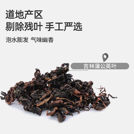 【谷记老谷头】蒲公英根+蒲公英叶 250g 泡水煮茶 商品图2