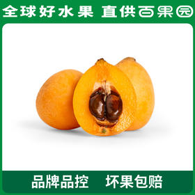 百果园 四川枇杷（大）2斤彩箱装