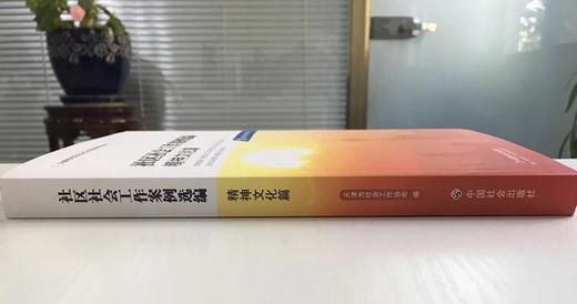 社区社会工作案例选编.精神文化篇 商品图2