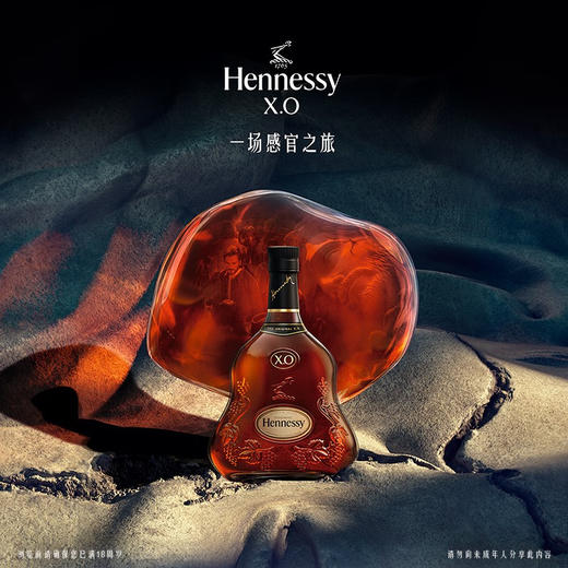 轩尼诗（Hennessy）XO 干邑白兰地 法国进口洋酒 700ml 礼盒 送礼佳选 商品图0