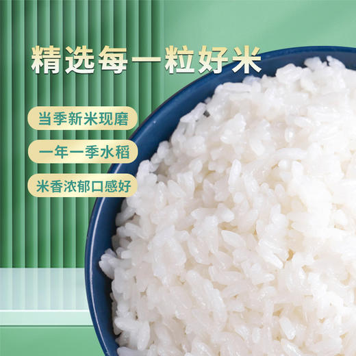 自营（菲爱比）-南稻府有机大米5kg 商品图1