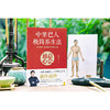 中里巴人极简养生法意会通心江西科学技术出版社 商品缩略图3