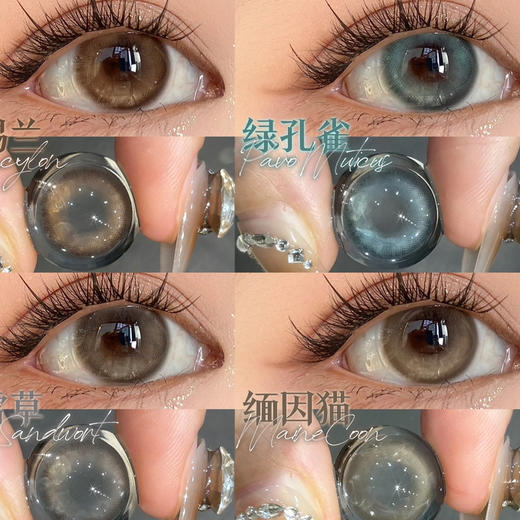 begelpig 半年抛小直径混血美瞳 商品图0