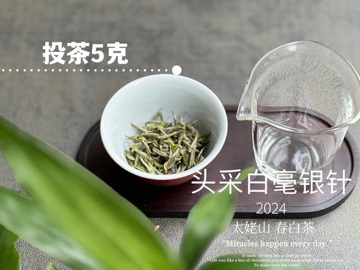 【2024春茶来了】2024头采白毫银针，鲜、嫩、爽、滑，怎一个“嫩”字了得？ 商品图8