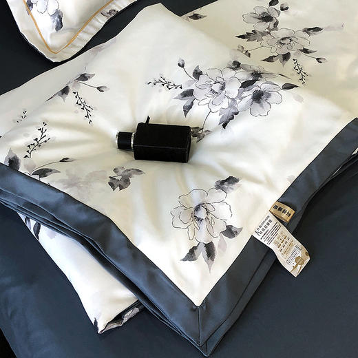 占姆士奥莱线上款【超亲肤！夏凉被四件套】可水洗夏季空调被， 轻奢多种款式任选，学生宿舍被单四件套 商品图0