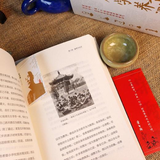 人为什么要读书：传世经典！读懂百年大师们的学养和风骨。真知灼见、金石之声，至今依然振聋发聩！(叶圣陶 著) 商品图2