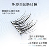 【蝴蝶结系列】everbab 女团免胶假睫毛 商品缩略图2