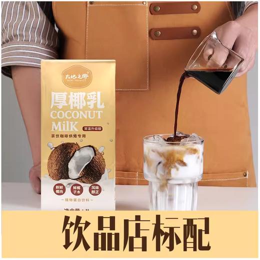 大地之椰厚椰乳 奶茶咖啡生椰拿铁椰汁生打椰奶椰浆专用整箱商用1L 商品图1