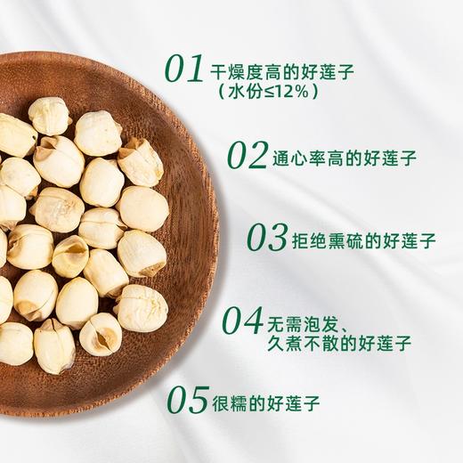 建宁文鑫通心白莲300g 商品图4