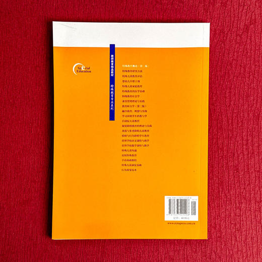 特殊教育概论 第二版 教师教育精品教材 商品图2