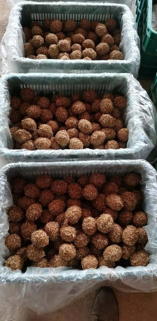 合作产品/ 生态皮蛋  happy蛋 商品图9