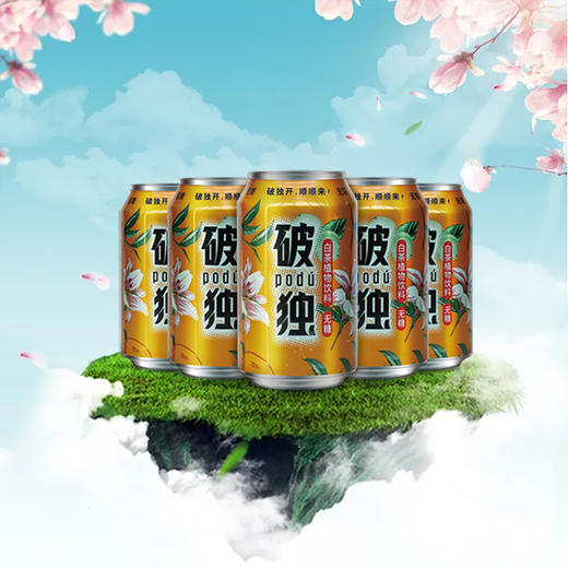 0593【国企严选，山海食材】破独 白茶植物饮料（无糖） 商品图1