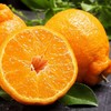 新鲜水果  四川丑橘 商品缩略图3