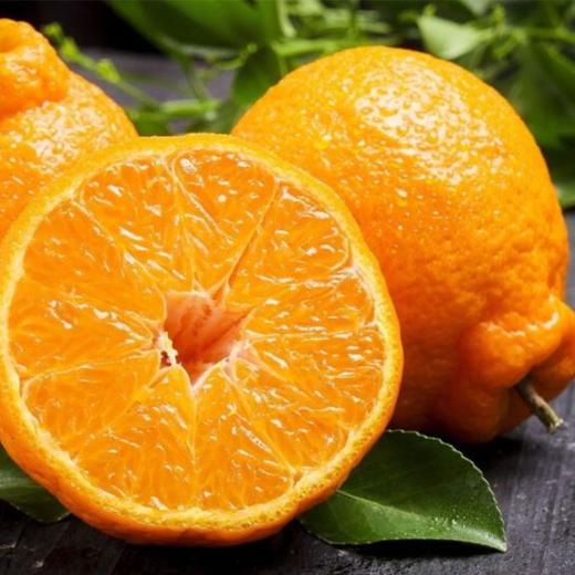新鲜水果  四川丑橘 商品图3