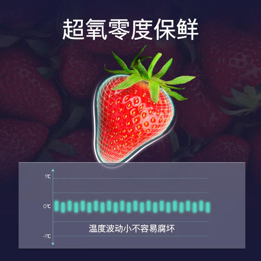西门子/冰箱/KC82VA320C 商品图2