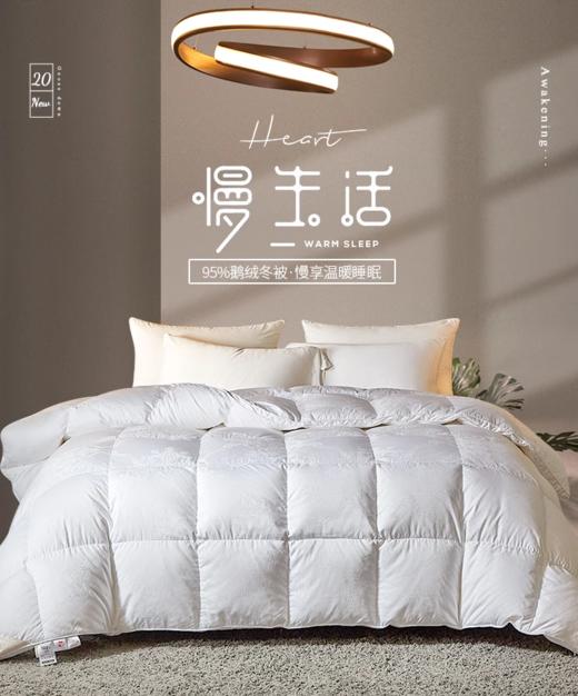 星级酒店羽绒被95白鹅绒鹅绒被被子被芯春秋被四季被冬被 商品图0