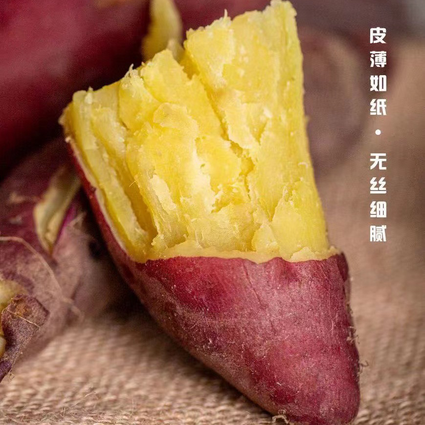 日本高系14号原种！桥头板粟地瓜 5斤红薯装