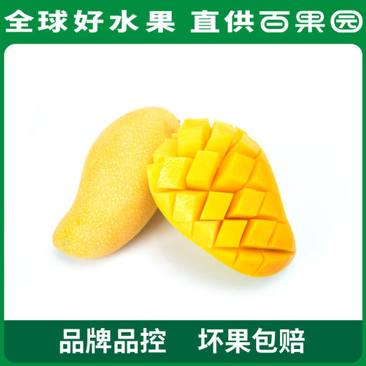 百果园 金煌芒（中）5斤普通装 商品图1