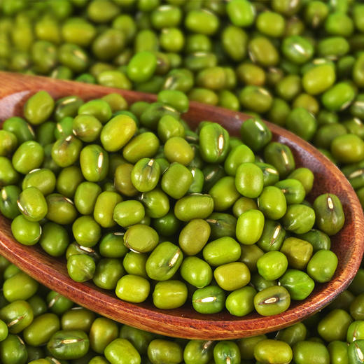 通山衣家绿豆1kg/袋 商品图2