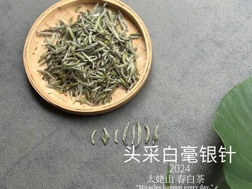 【2024春茶来了】2024头采白毫银针，鲜、嫩、爽、滑，怎一个“嫩”字了得？ 商品图1