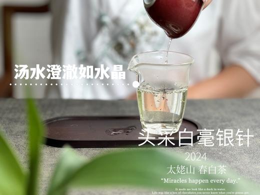 【2024春茶来了】2024头采白毫银针，鲜、嫩、爽、滑，怎一个“嫩”字了得？ 商品图11