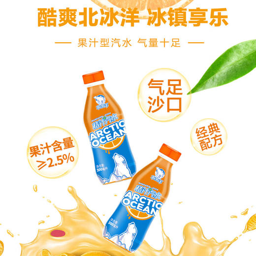 北冰洋  PET桔汁汽水300ml*24瓶 商品图1