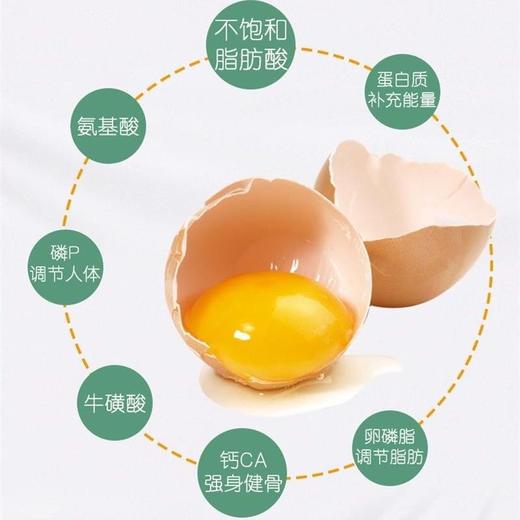 九华山富硒散养鸡蛋  深山农家散养土鸡蛋 、鲜香嫩滑、口感细腻     30枚/60枚装 商品图4