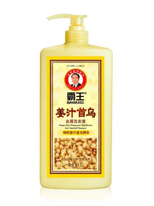 霸王1L姜汁首乌去屑洗发液 商品图0