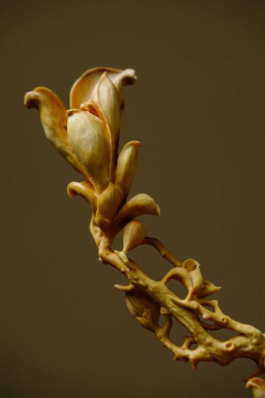 双喜临门°黄杨木摆件 商品图2