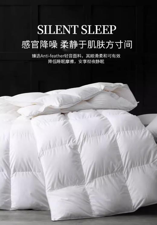 星级酒店羽绒被95白鹅绒鹅绒被被子被芯春秋被四季被冬被 商品图2